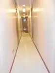 Nave refrigerata in vendita