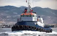 Rimorchiatore in vendita