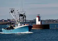 Purse seiner in vendita