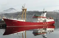 Barche da lavoro in vendita