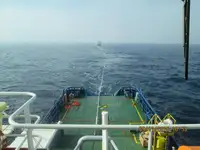 Trasportatore di merci sfuse in vendita