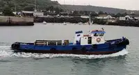 Rimorchiatore in vendita