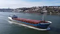 Portarinfuse in vendita