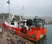 Peschereccio a strascico in vendita