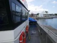 Catamarano in vendita