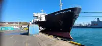 Ro-Ro ship in vendita