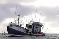 Peschereccio a strascico in vendita