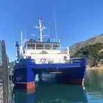 Catamarano in vendita