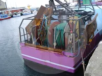 Trasportatore di pesce vivo in vendita