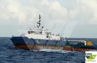 Barche da lavoro in vendita
