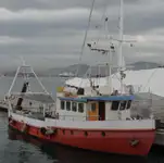 Barche da lavoro in vendita
