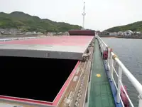 Trasportatore di merci sfuse in vendita
