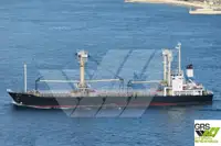 Portarinfuse in vendita
