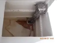 Peschereccio a circuizione in vendita