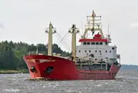 Trasportatore di merci sfuse in vendita