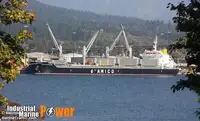 Portarinfuse in vendita