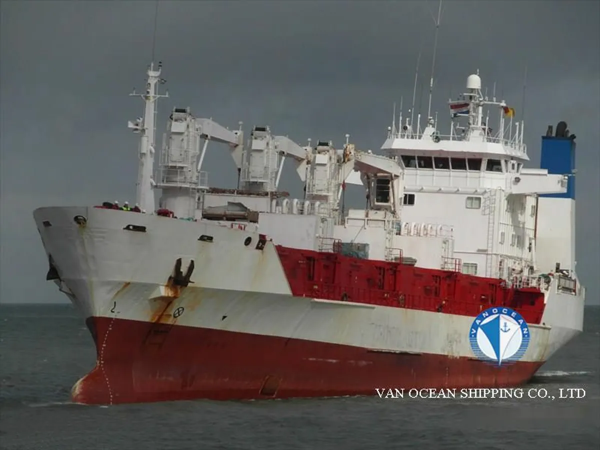 Nave refrigerata in vendita