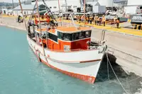 Trawler in vendita