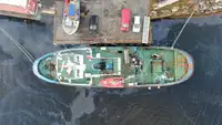 Rimorchiatore in vendita