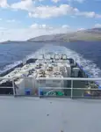 Rimorchiatore in vendita
