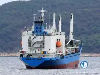 Nave refrigerata in vendita