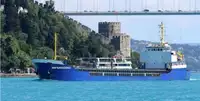 Trasportatore di merci sfuse in vendita