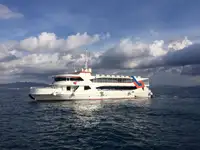 Nave da crociera in vendita