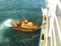 Portacontainer in vendita