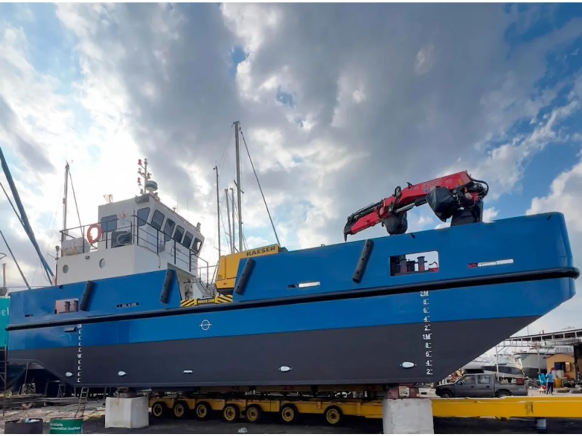 Portacontainer in vendita