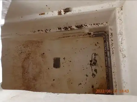Peschereccio a circuizione in vendita