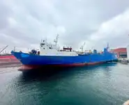 Trasportatore di merci sfuse in vendita