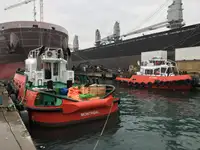 Rimorchiatore in vendita