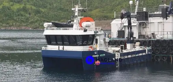 Workboats for sale