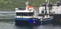 Barche da lavoro in vendita