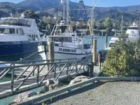Peschereccio a strascico in vendita