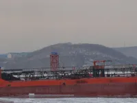 Petroliera/Chimichiera in vendita