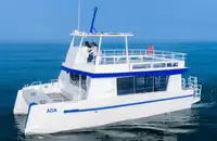 Catamarano in vendita