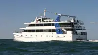 Catamarano in vendita