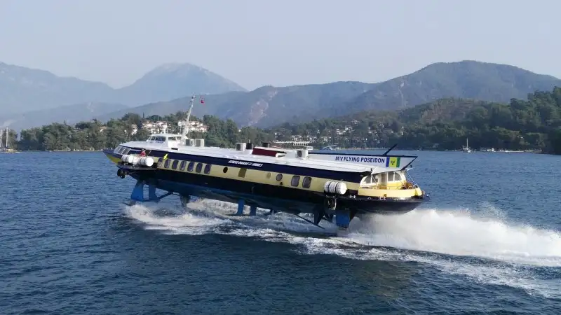 Nave Ro-Ro in vendita