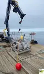 Barche da lavoro in vendita