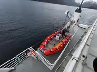 Nave Ro-Ro in vendita