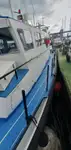 Portacontainer in vendita