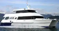 Catamarano in vendita