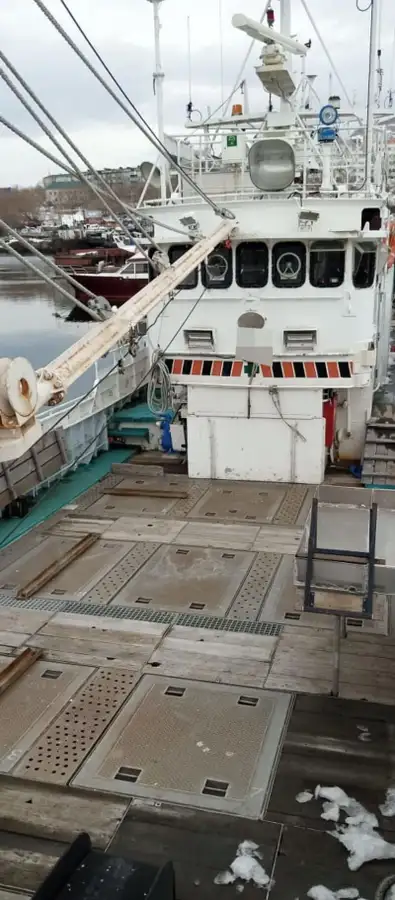 Peschereccio a strascico in vendita