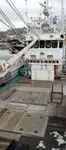 Peschereccio a strascico in vendita