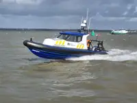 Portacontainer in vendita