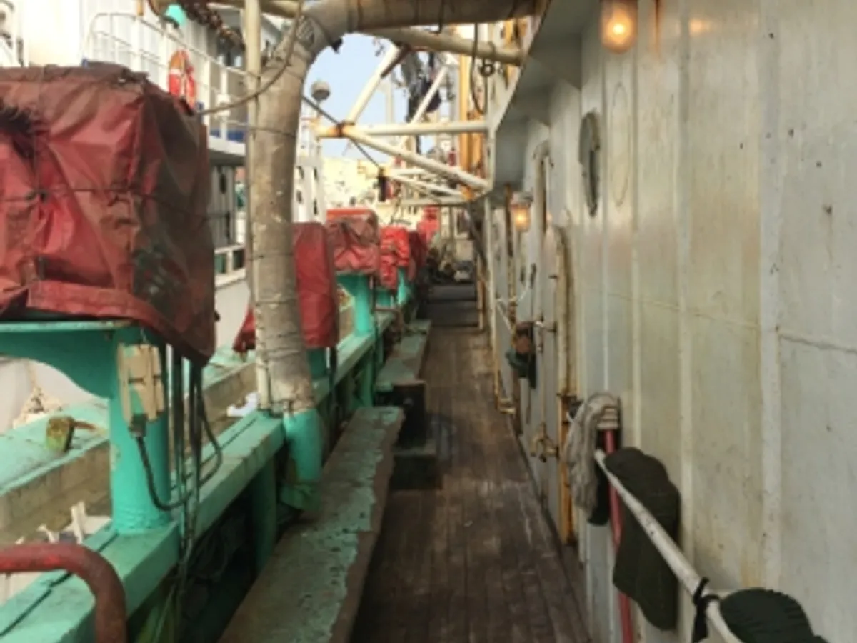 Peschereccio per calamari in vendita