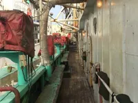 Peschereccio per calamari in vendita