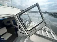 Nave da crociera in vendita
