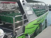 Nave passeggeri in vendita